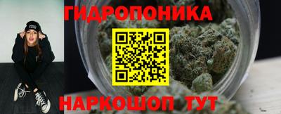 гидра Лесосибирск